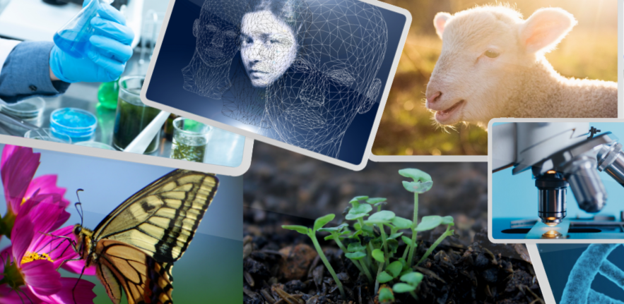 Our Departments, Institutes and Research Centres Our Departments, Institutes and Research Centres