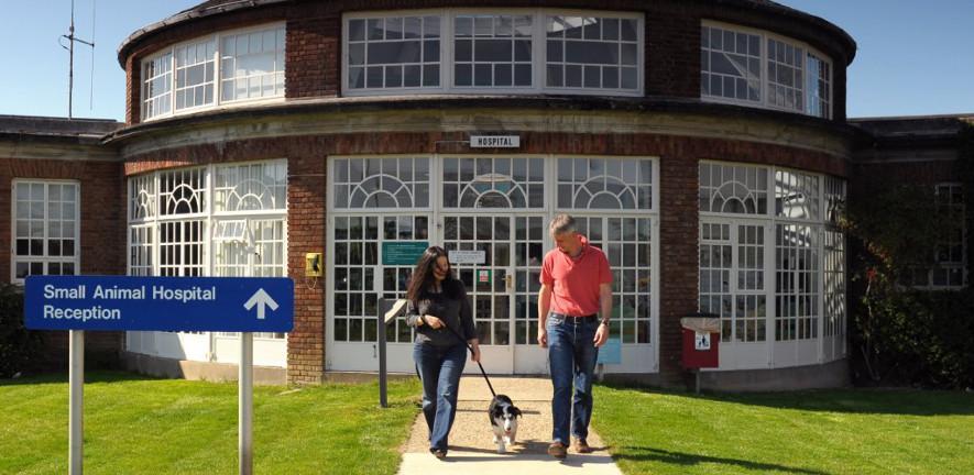 woman, man, dog, building