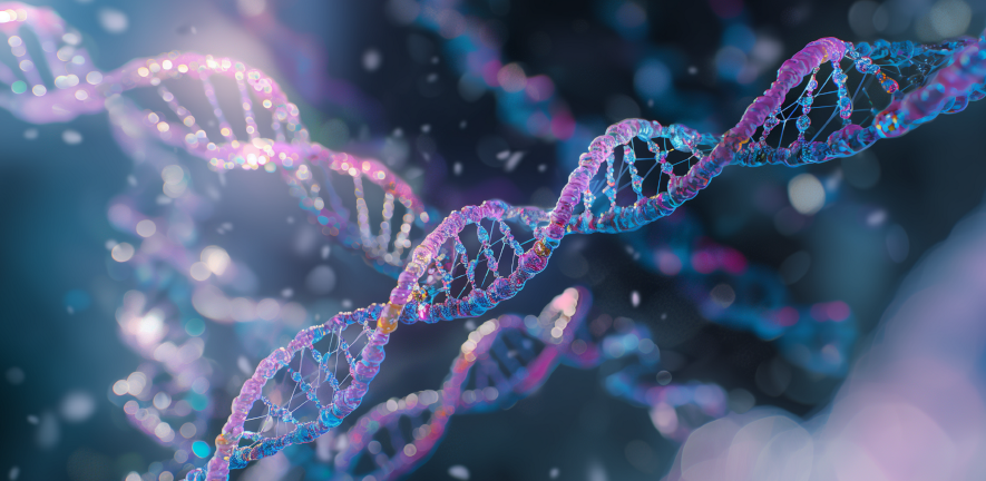 Credi: M. Richter from Pixabay illustration of dna