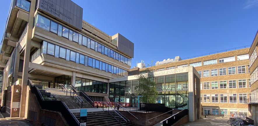 image of building