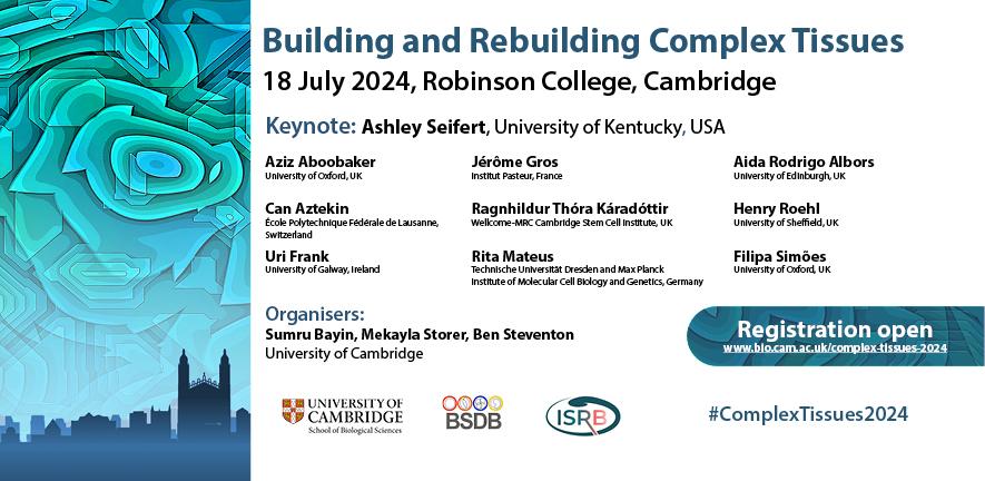 Building and Rebuilding Complex Tissues, 18 July, Cambridge