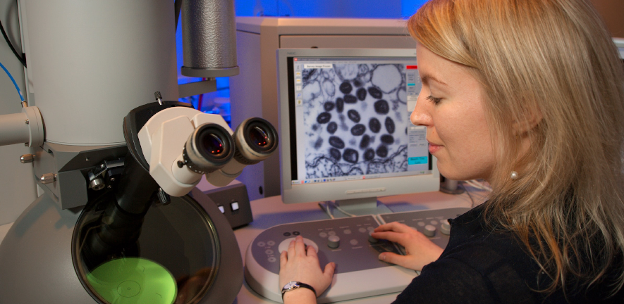 woman looking working with microscope